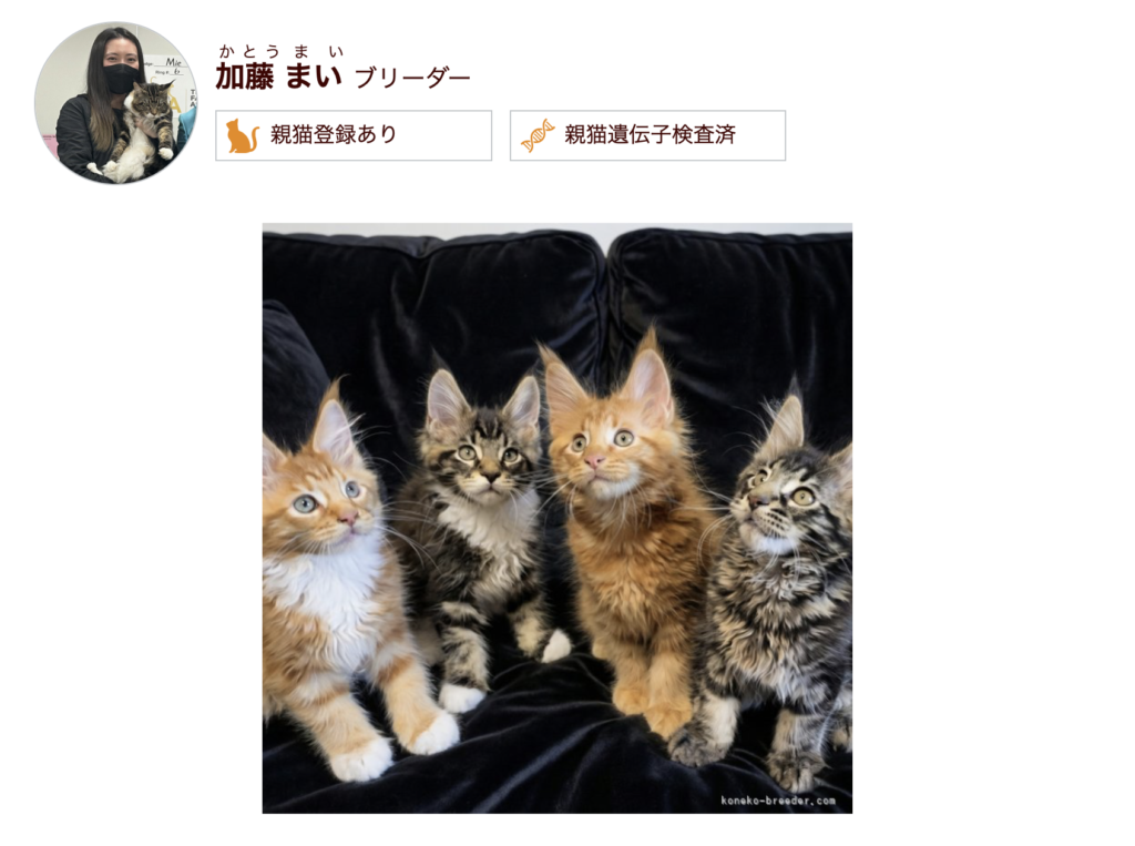 画像に alt 属性が指定されていません。ファイル名: %E3%82%B9%E3%82%AF%E3%83%AA%E3%83%BC%E3%83%B3%E3%82%B7%E3%83%A7%E3%83%83%E3%83%88-2026-09-24-15.22.08-1024x763.png